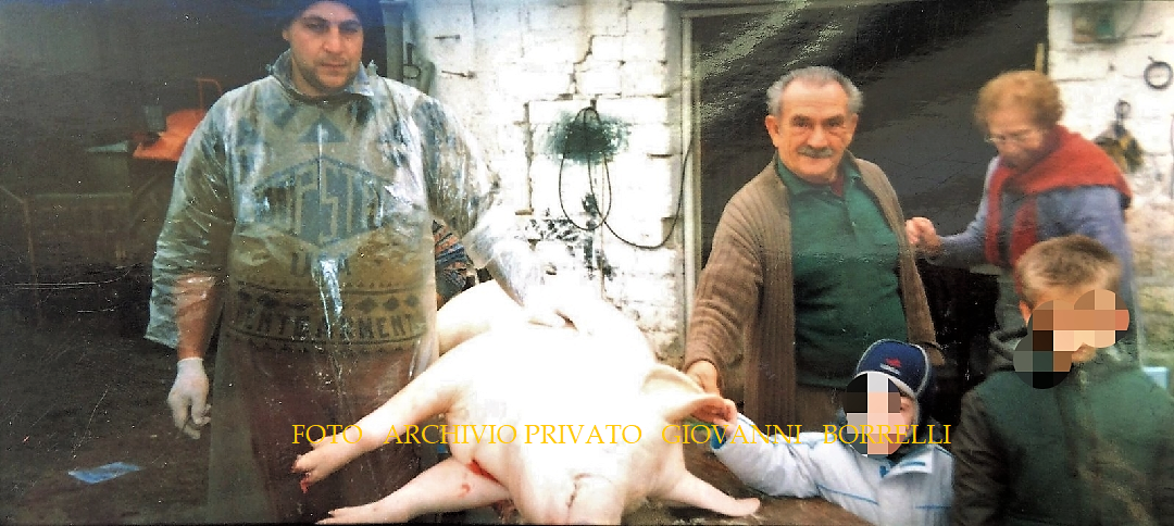 Il rito cruento dell'uccisione del maiale - Giovanni Borrelli